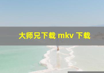 大师兄下载 mkv 下载